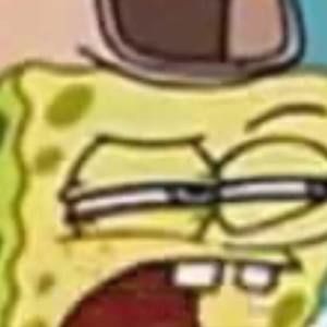 Meet your Posher, Mason